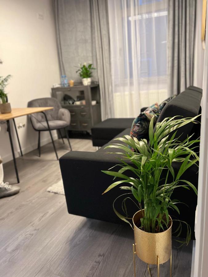 Musai Apartment Braşov Buitenkant foto